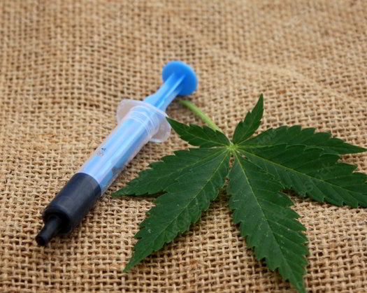 Cannabis Oil South Africa