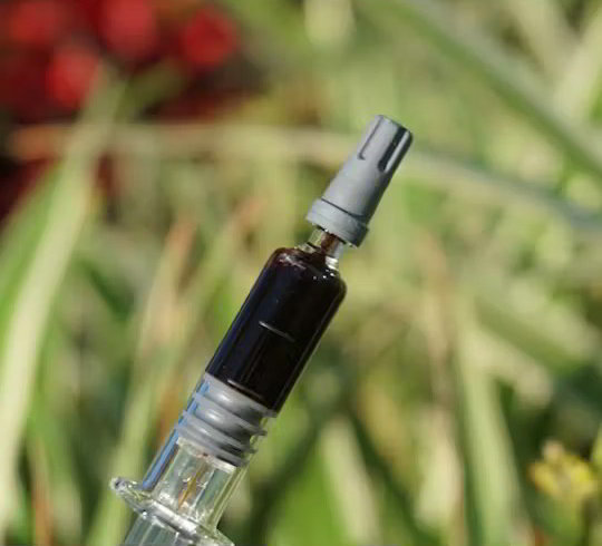 Dagga Oil South Africa