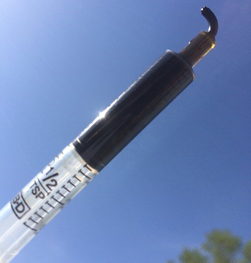 Medical Cannabis South Africa