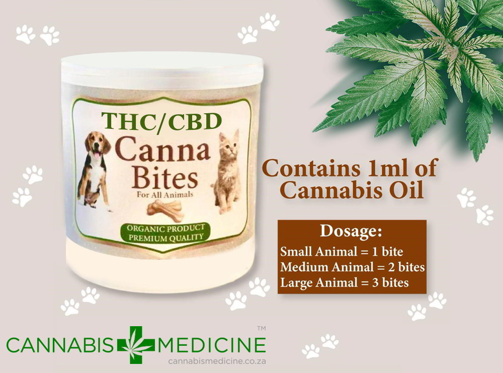 pets edibles cannabis thc south africa