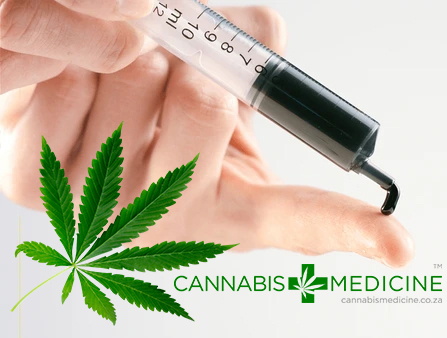 cannabis oil south africa