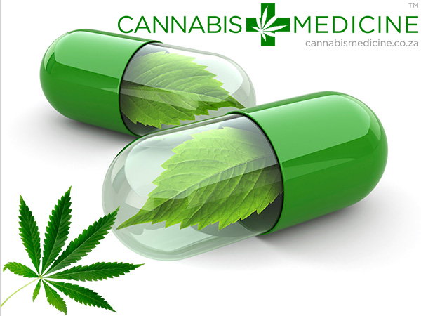 health benefits treatments cannabis oil