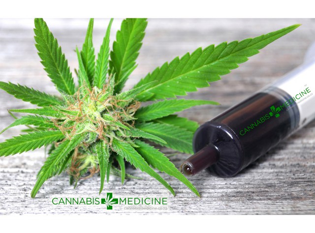 cannabis-oil-syringe-thc-cbd-2