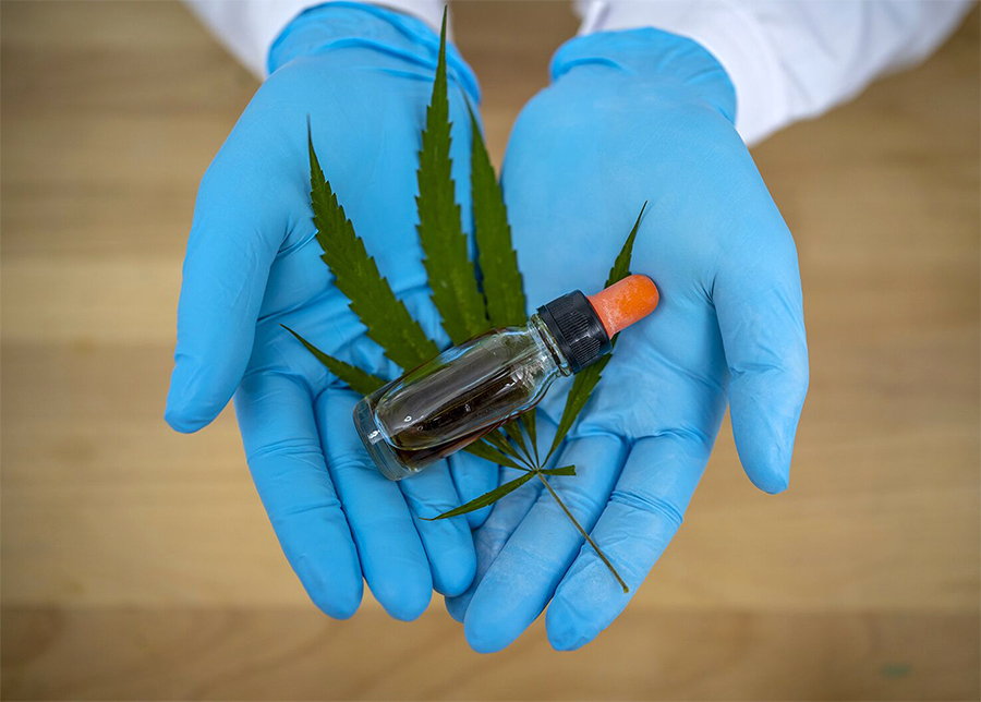 cannabis oil cancer treatment dosage protocol plan